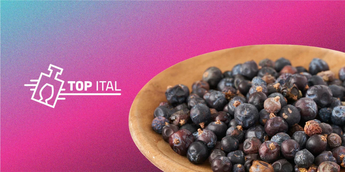 miből készül a gin topital 1