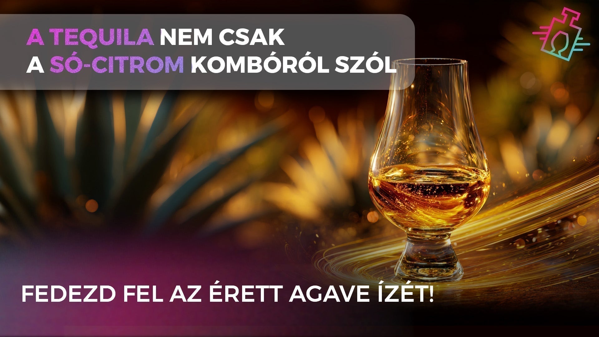 Egy elegáns kóstolópohár érlelt, aranyszínű tequilával egy sötét, meleg tónusú háttér előtt, ahol elmosódott agave növények és kavargó, aranyszínű fénycsóvák láthatók. "A TEQUILA NEM CSAK A SÓ-CITROM KOMBÓRÓL SZÓL" - "FEDEZD FEL AZ ÉRETT AGAVE ÍZÉT!"