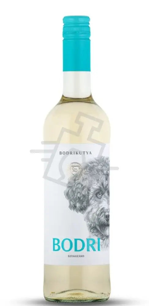 Bodri Fehér Cuvée /Bodrikutya/ [0,75L|2025] Bor